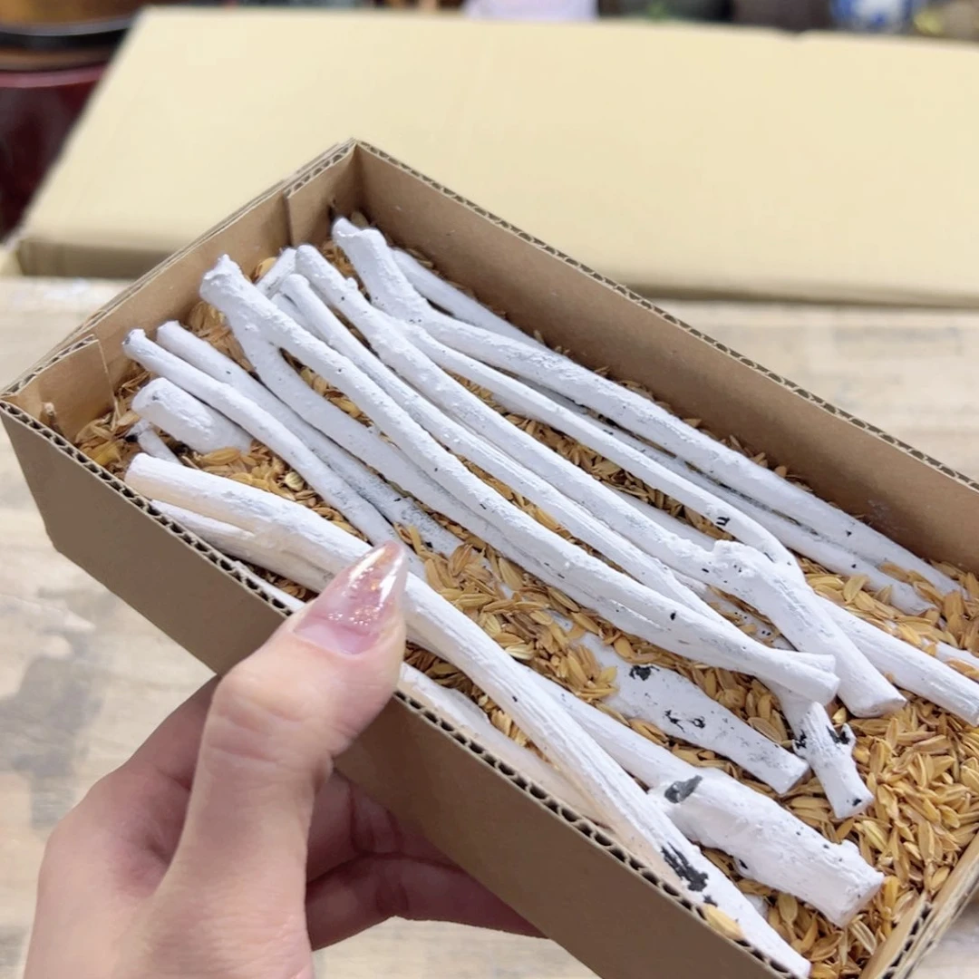 瓷片陶瓷的发展和艺术成就都