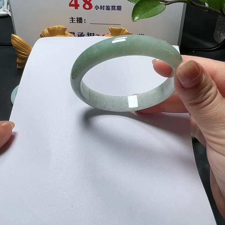 未镶嵌手镯翡翠正圈半山水