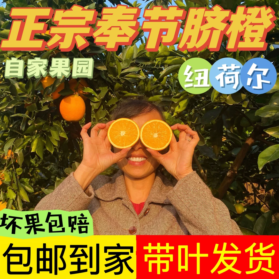 重庆奉节脐橙江边纽荷尔新鲜采摘多汁孕妇维C天然香甜非赣南脐橙