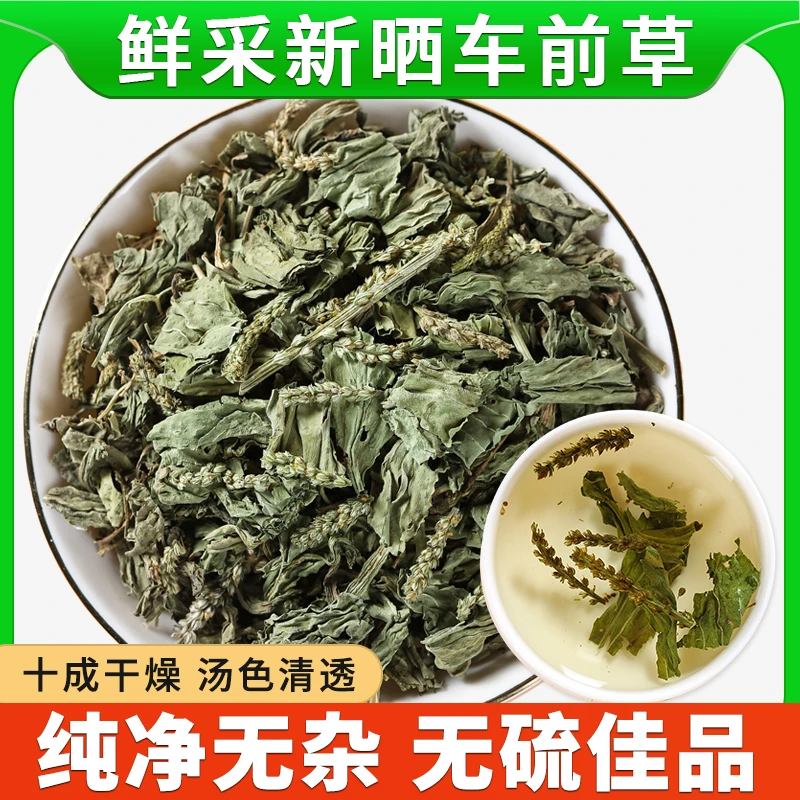 500g车前草野生新鲜干货正品泡茶泡水喝商用批发