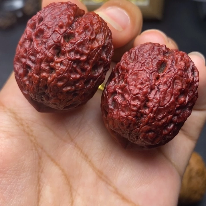 文玩核桃把件40尺金蟒元宝