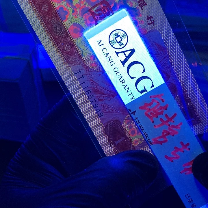 金龙王一张一张一张一张一张一张
