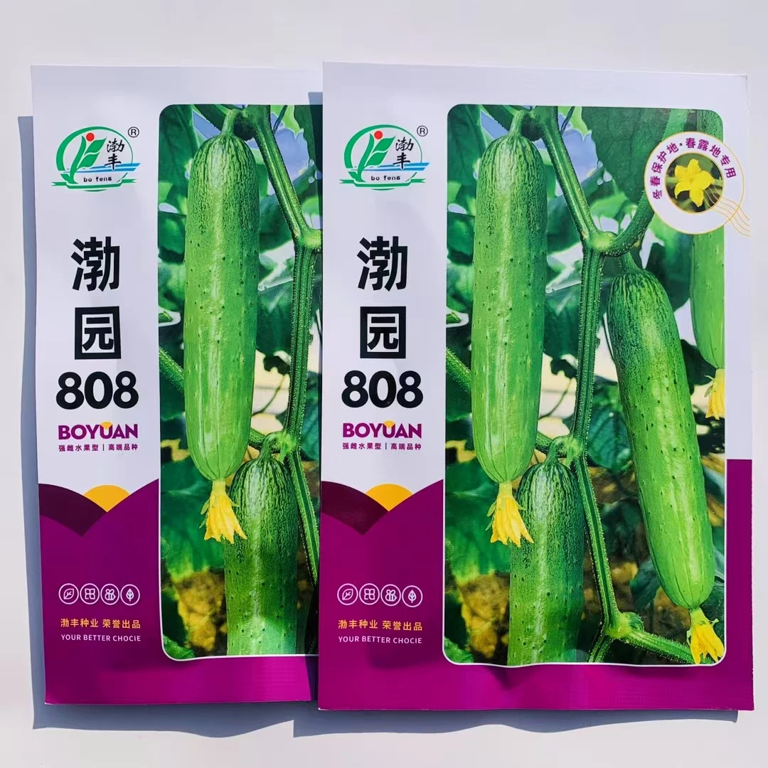 渤园808黄瓜种子强雌型水果旱黄瓜种子皮薄肉厚清香甜脆早熟抗病