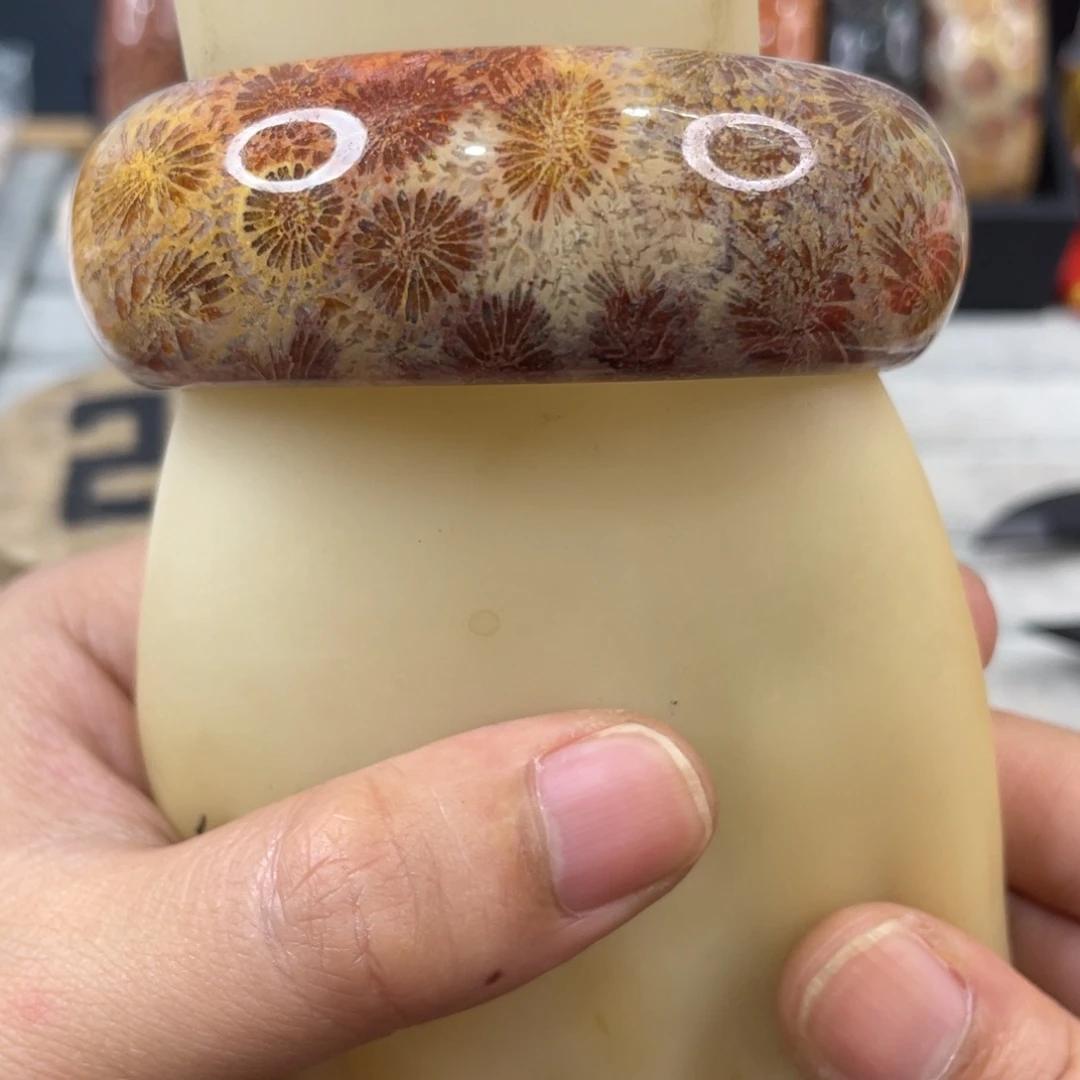 未镶嵌手镯硅化玉