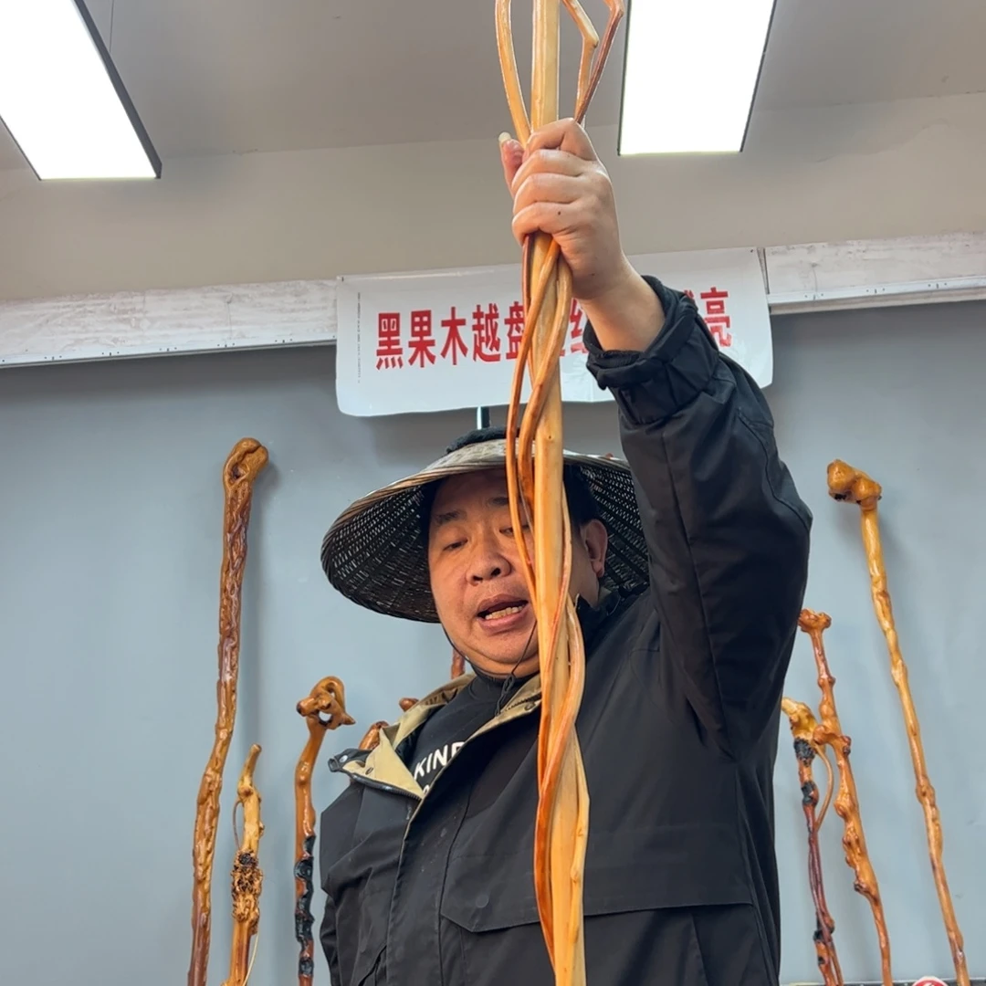 黑果木其他余****念黑果木767