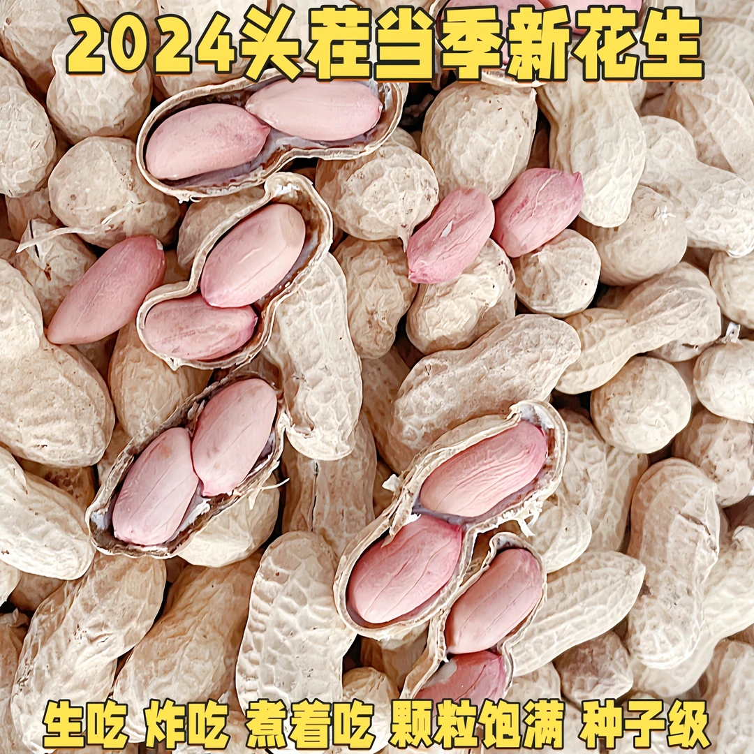 2024年当季新货头茬带壳生花生农家自种新鲜采摘手工挑选大颗粒