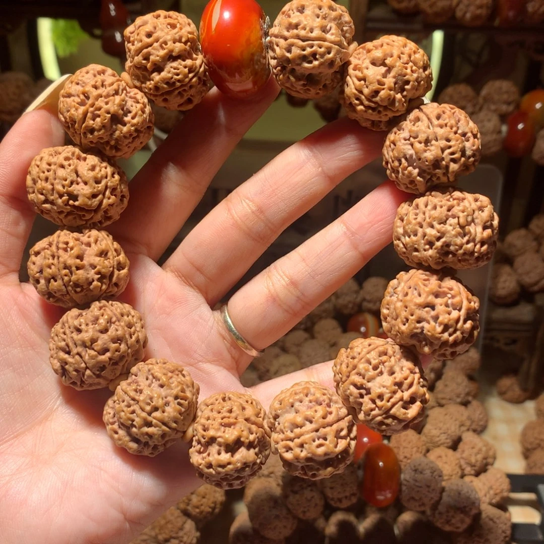 凝***望手串金刚菩提24。