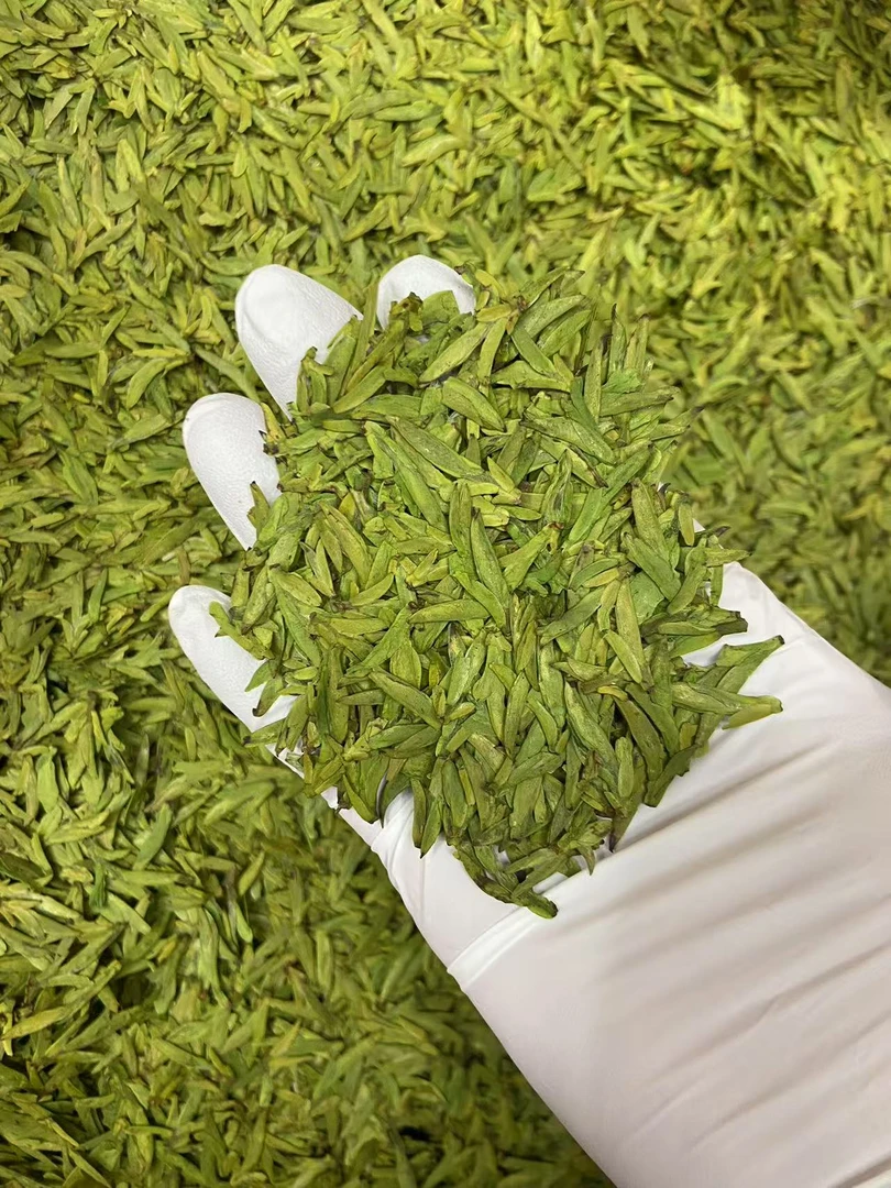 明前头春头采绿茶A5款 2025年新茶绿黄版清香型峁峰龙井永嘉青叶