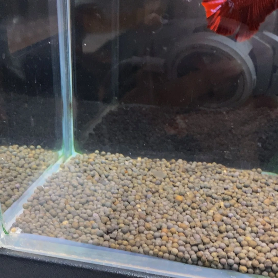 W***W斗鱼542巨斗11111