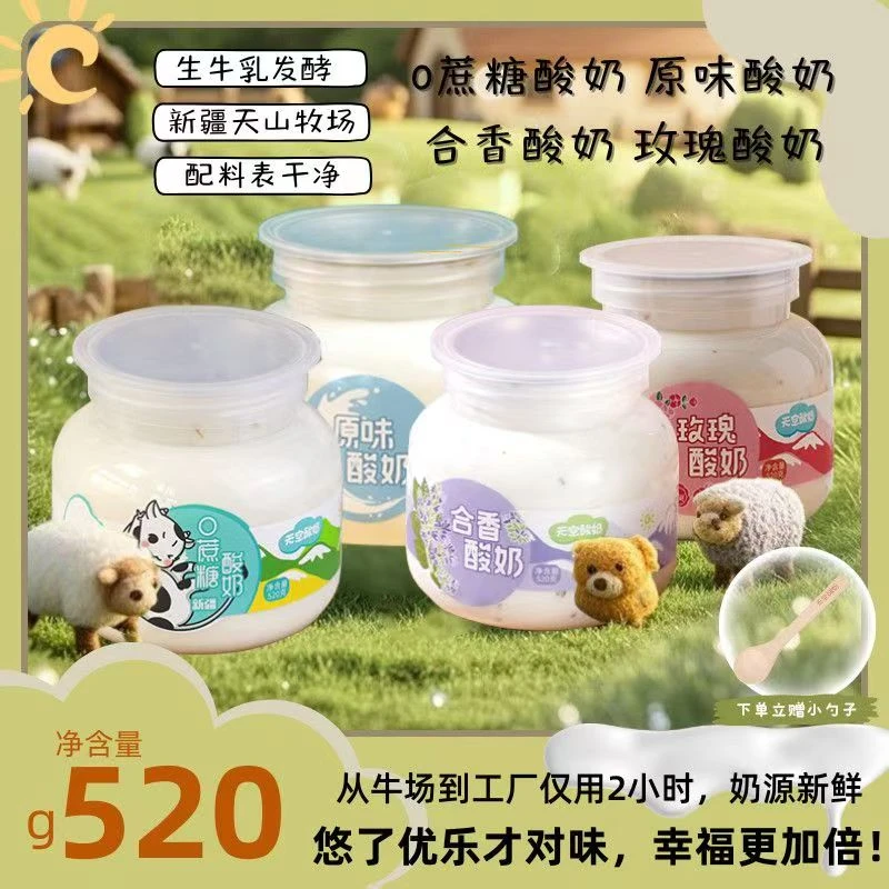 新疆牧场特产玫瑰酸奶优质发酵原味酸奶口感丝滑奶香醇厚合香酸奶