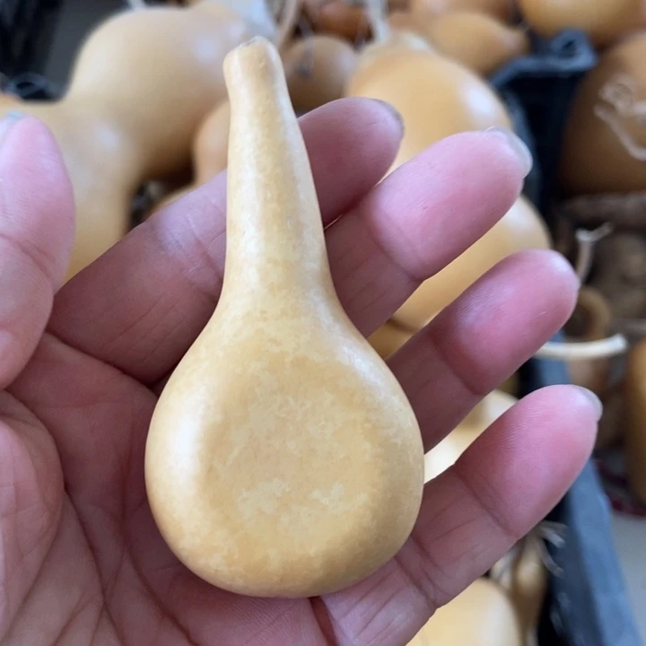 酒**子dhxvbsjssbbsnss