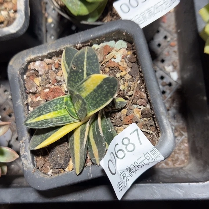 李***r幸运的是我还没遇到过这样