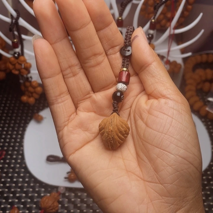 菩提籽类龙纹桃枭