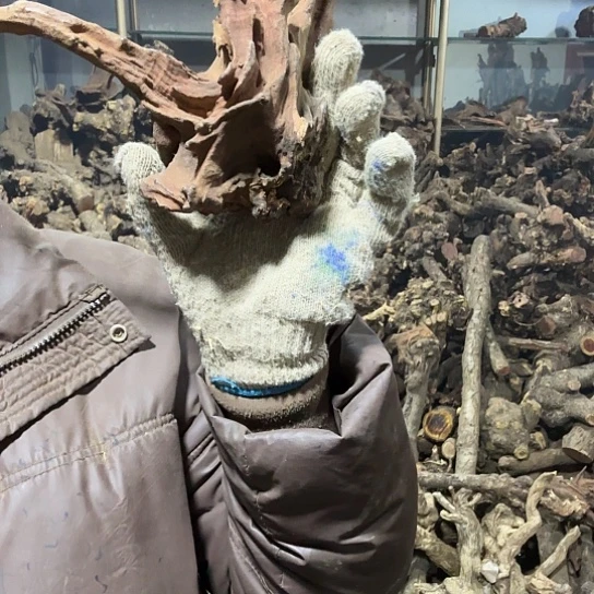 香榧木内**二火琉璃的故事毛料摆件