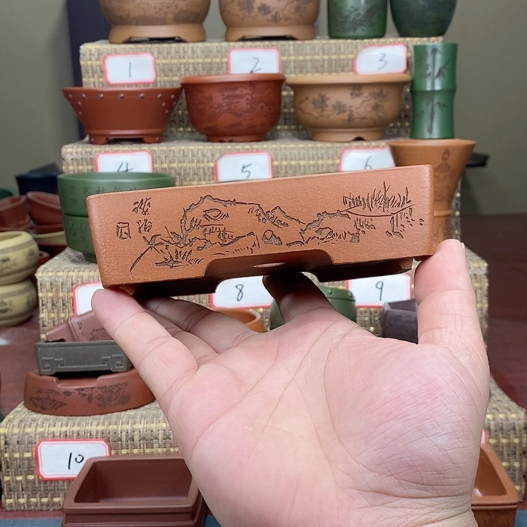 紫砂花盆我在看书