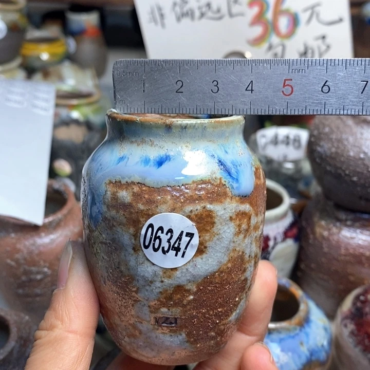 拍5送一个小礼物花盆