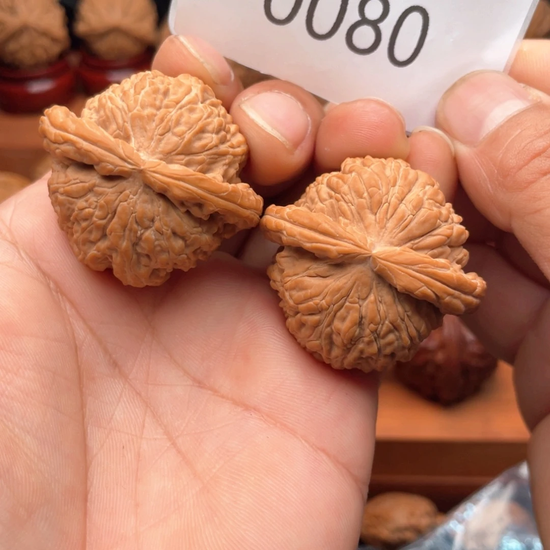 文玩核桃把件白狮子精品39