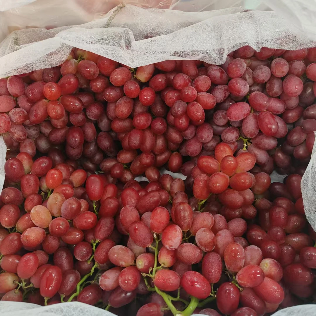【三斤散装】克伦生无籽红提 清甜多汁 只限山西省内可拍