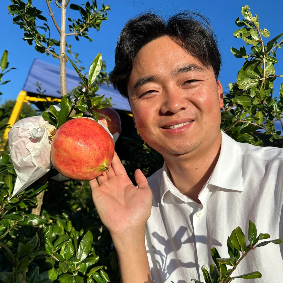 【杨支书助农】大凉山会理突尼斯软籽石榴自然成熟不吐籽顺丰直发