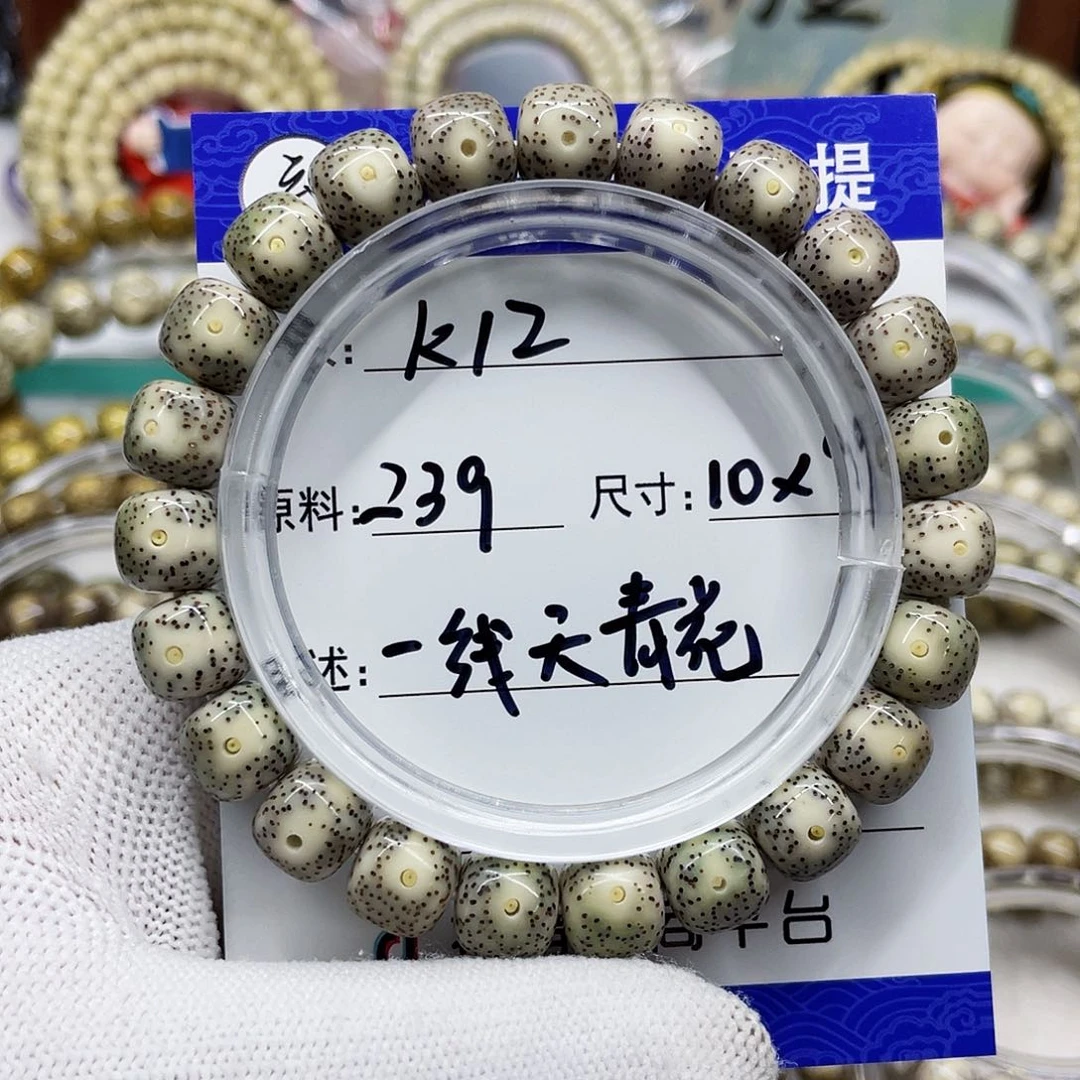 海南心月星月菩提k12
