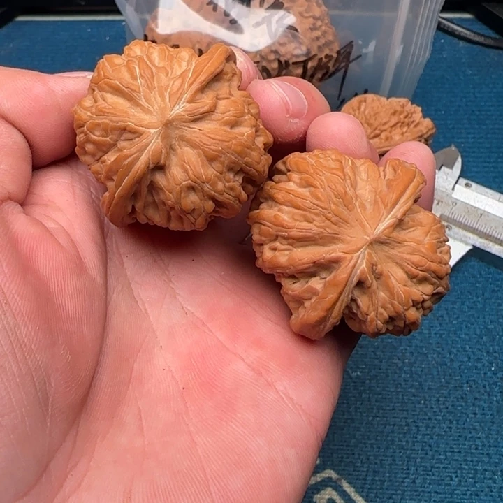 吊坠文玩核桃哈哈哈哈哈哈哈