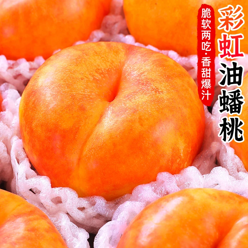 【软硬两吃】彩虹油蟠桃2-4.5斤黄桃子黄金油蟠桃非毛桃新鲜水果