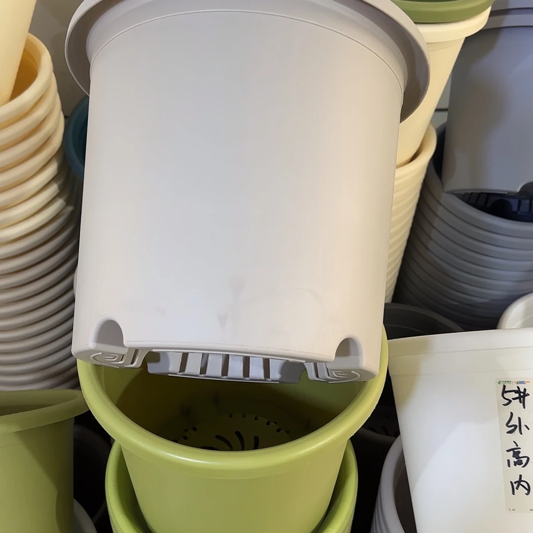 微瑕6号无托，灰白7个