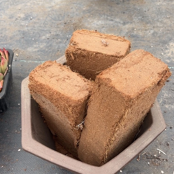 多肉植物椰砖土三块一斤珍珠岩