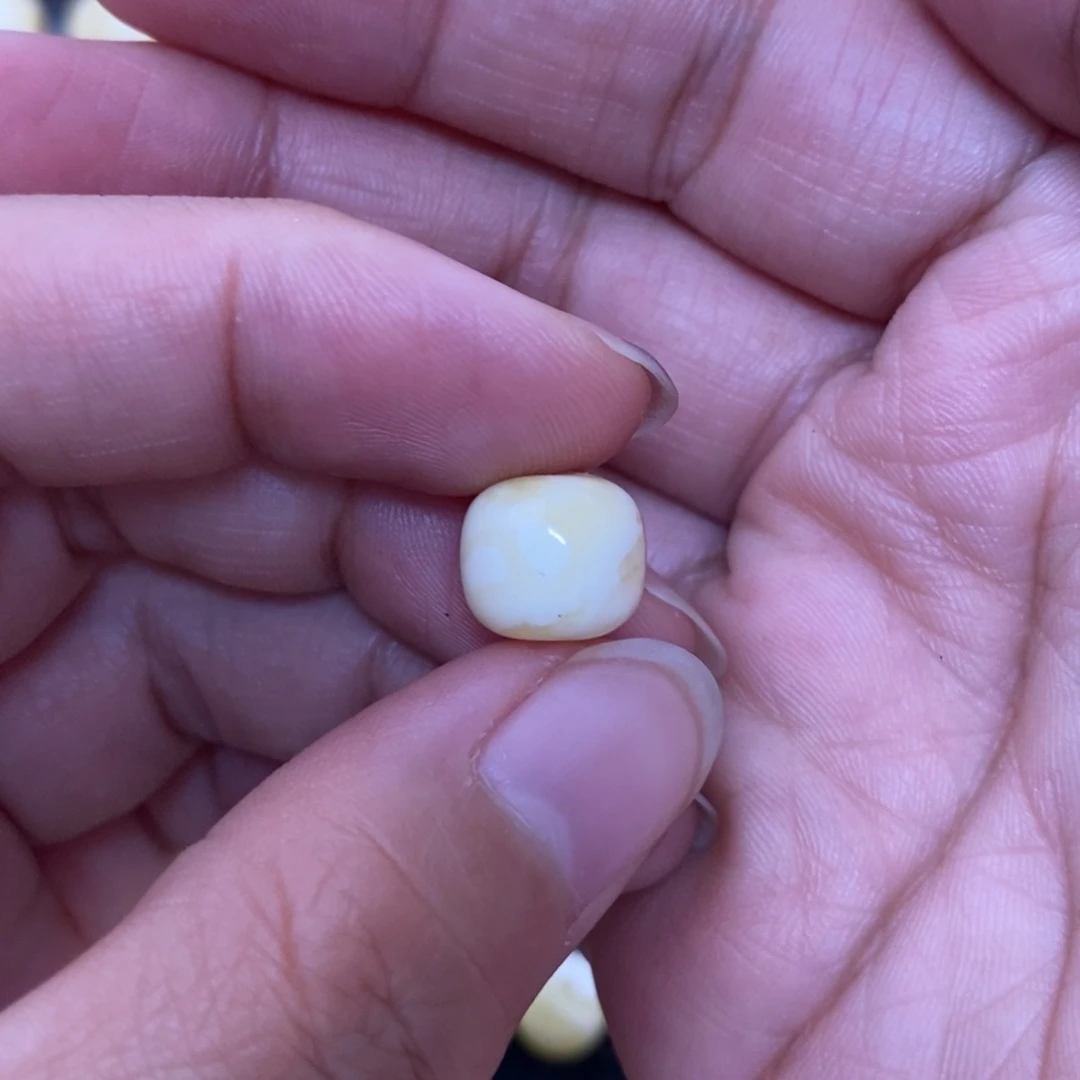 裸石蜜蜡未镶嵌T***昊