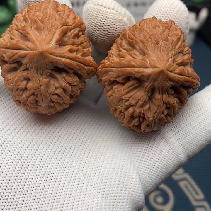 全品大蒜头尺寸37