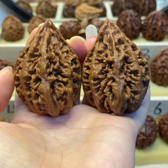 把件桃核黑龙塔楸子