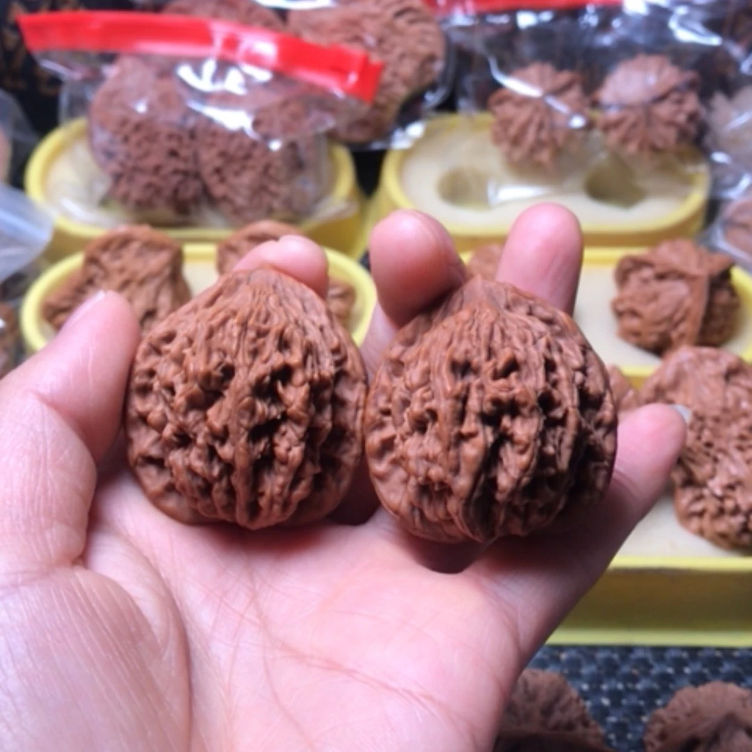 【闪购商品】石子虎尺寸39