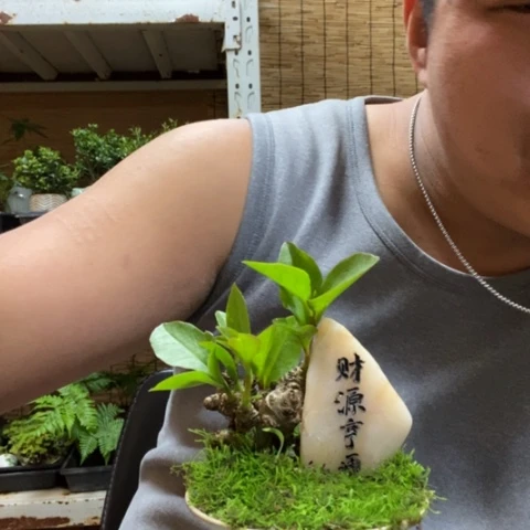 红陶阿*.一物一拍所见即所得182