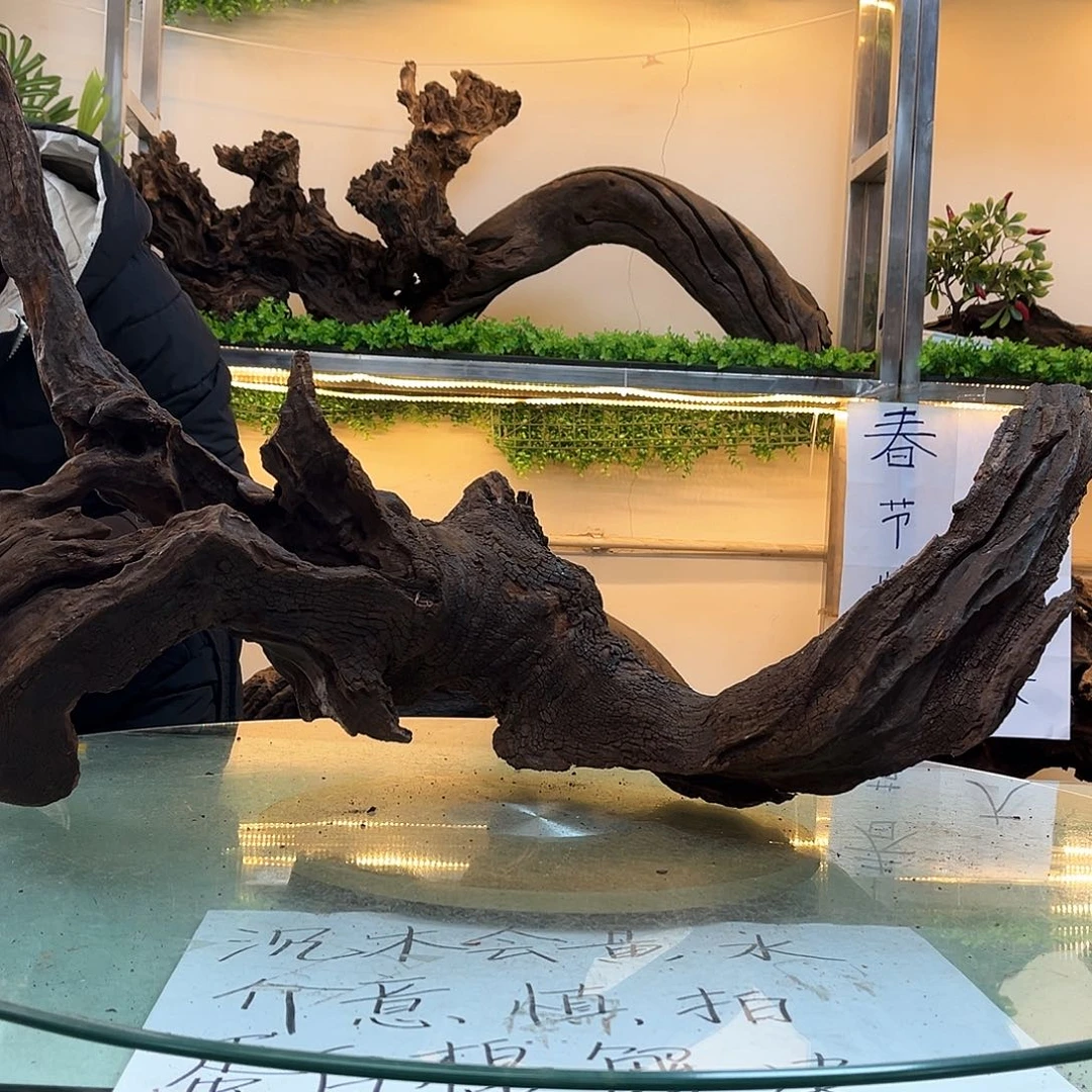 柚木沉木鱼缸造景