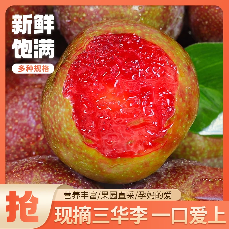 当季时令水果三华李红心李子酸甜过瘾包邮