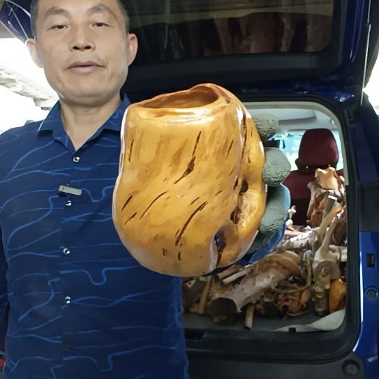 母***华稳定木高山 檬子木文玩料