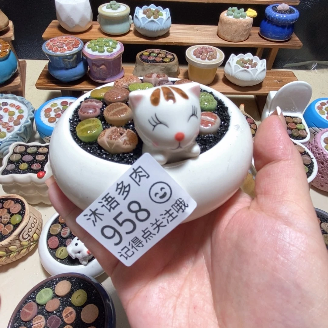 神**蛙所见即所得 一物一拍958