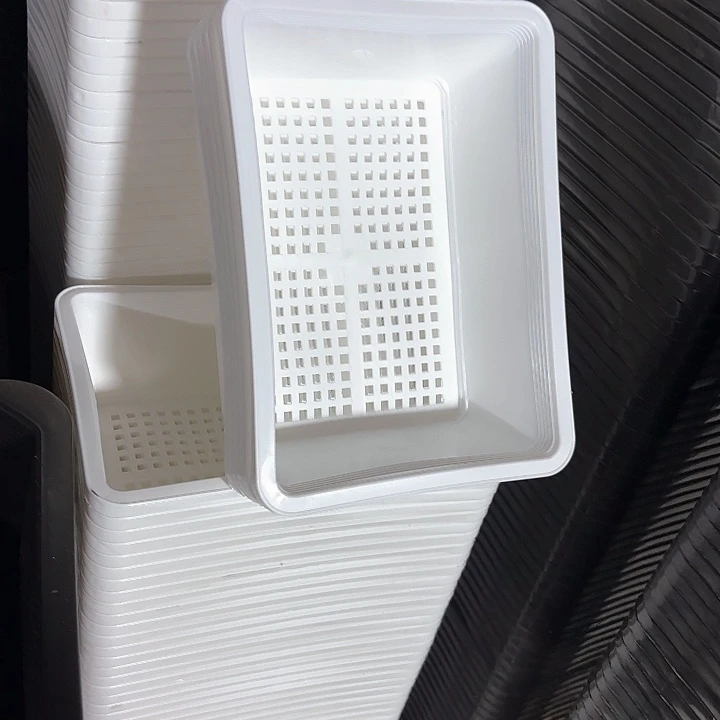 17公分白色育苗盘5个