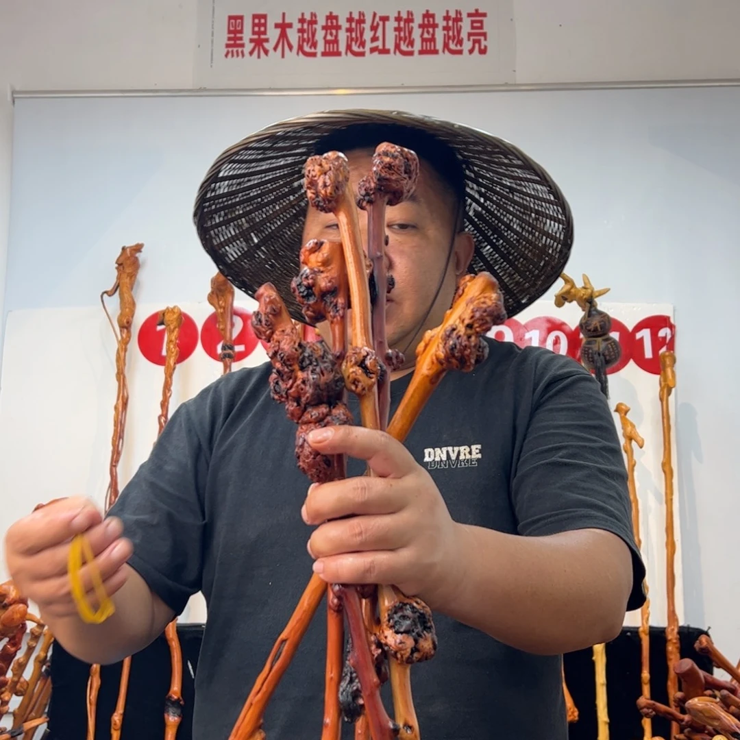 黑果木其他黑果木790