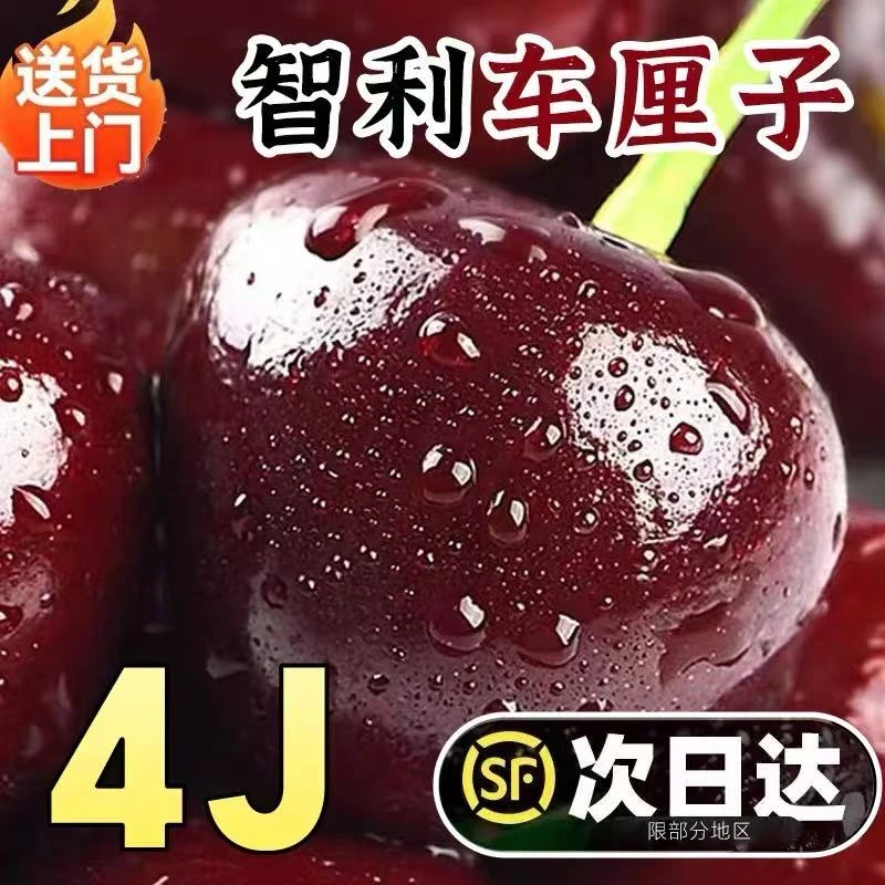 【今天拍明天到】智利空运桑提娜2-4JD车厘子顺丰京东包邮2500g内附果径卡桑提娜樱桃智利共和国