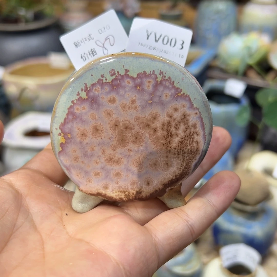 1987花盆yv003枯叶玫瑰mini鼓