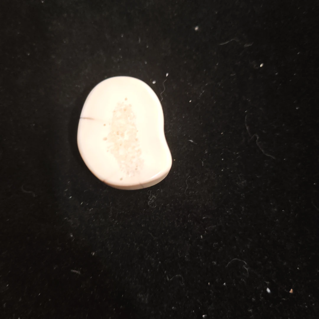 猛犸猛犸虬饼子WW892