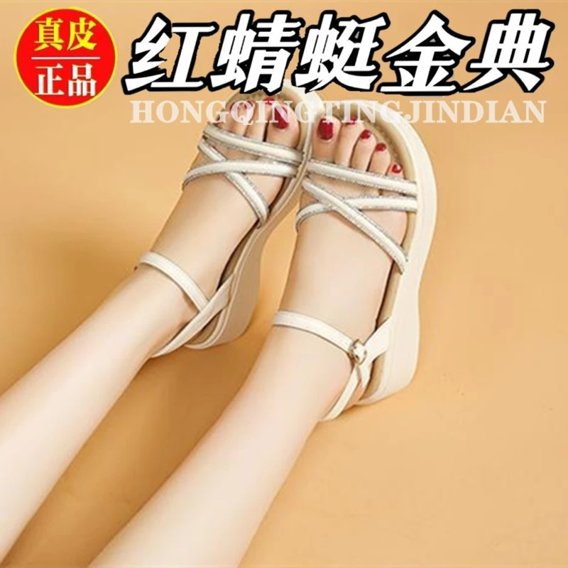红蜻蜓金典凉鞋女鞋网红真皮时尚休闲百搭夏季软底外穿厚底防滑鞋