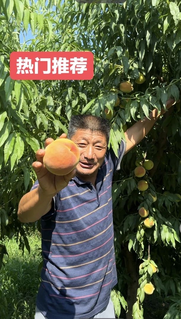 安徽宿州灵璧脆桃现摘现发脆甜多汁应季水果