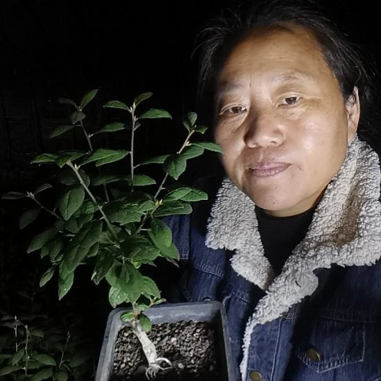 勇***敌无花朵156688699256