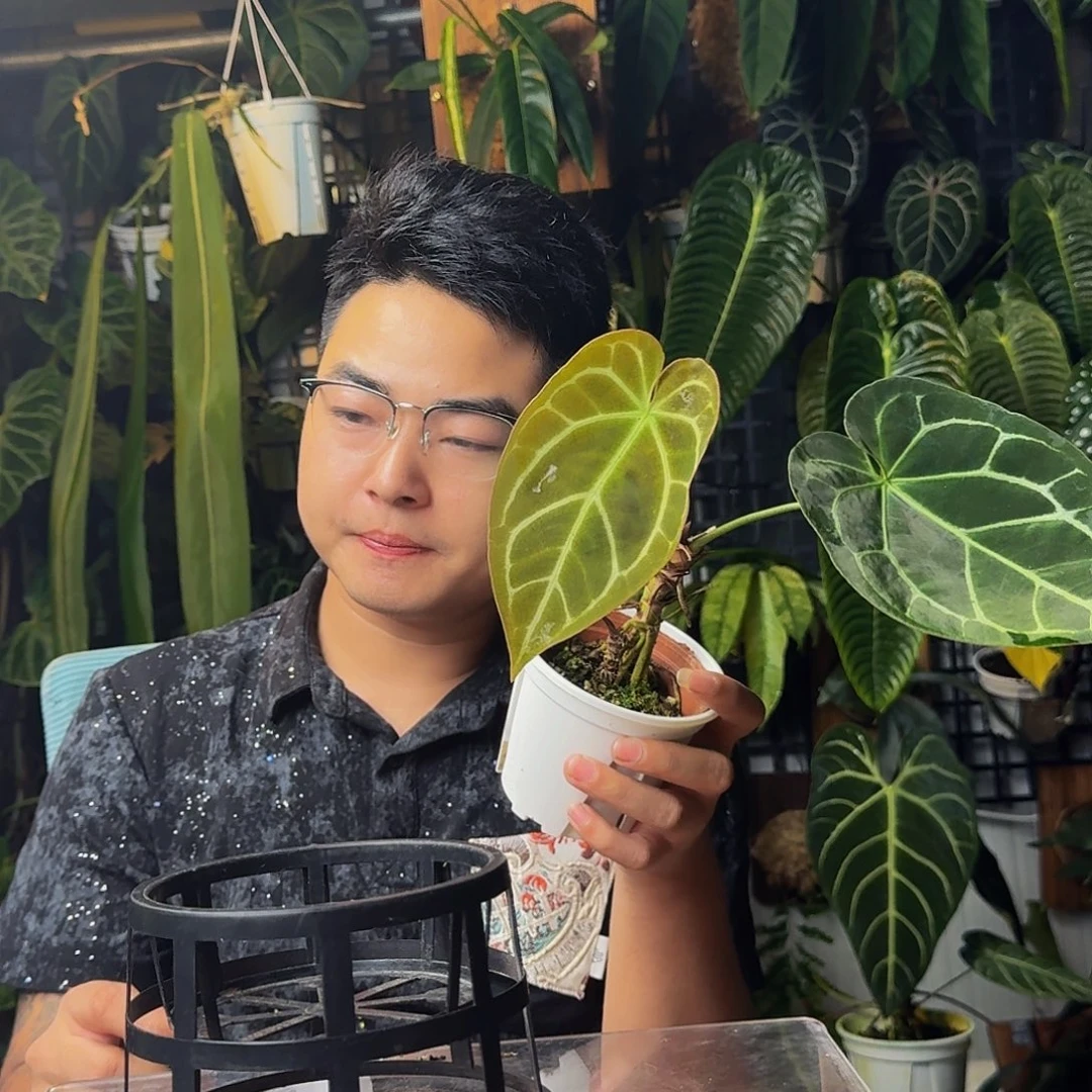 ****完全开放一物一拍J63