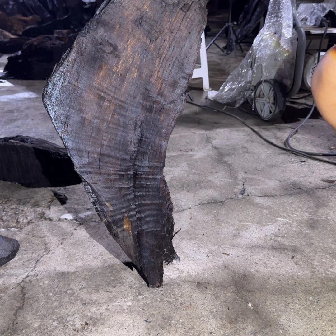 心***行阴沉木金丝楠木乌木原木一个