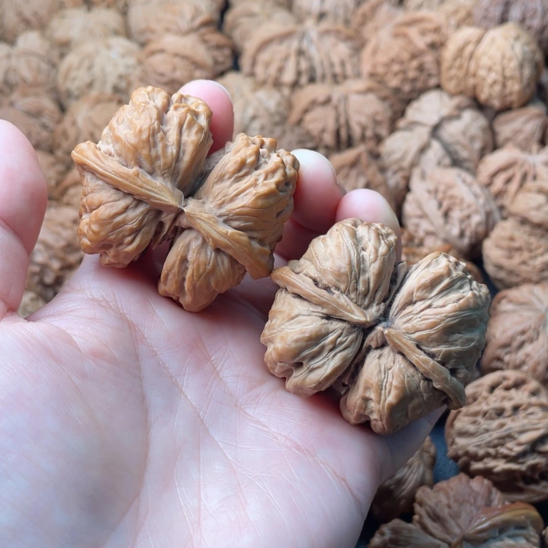 把件文玩核桃48蛤蟆头连体