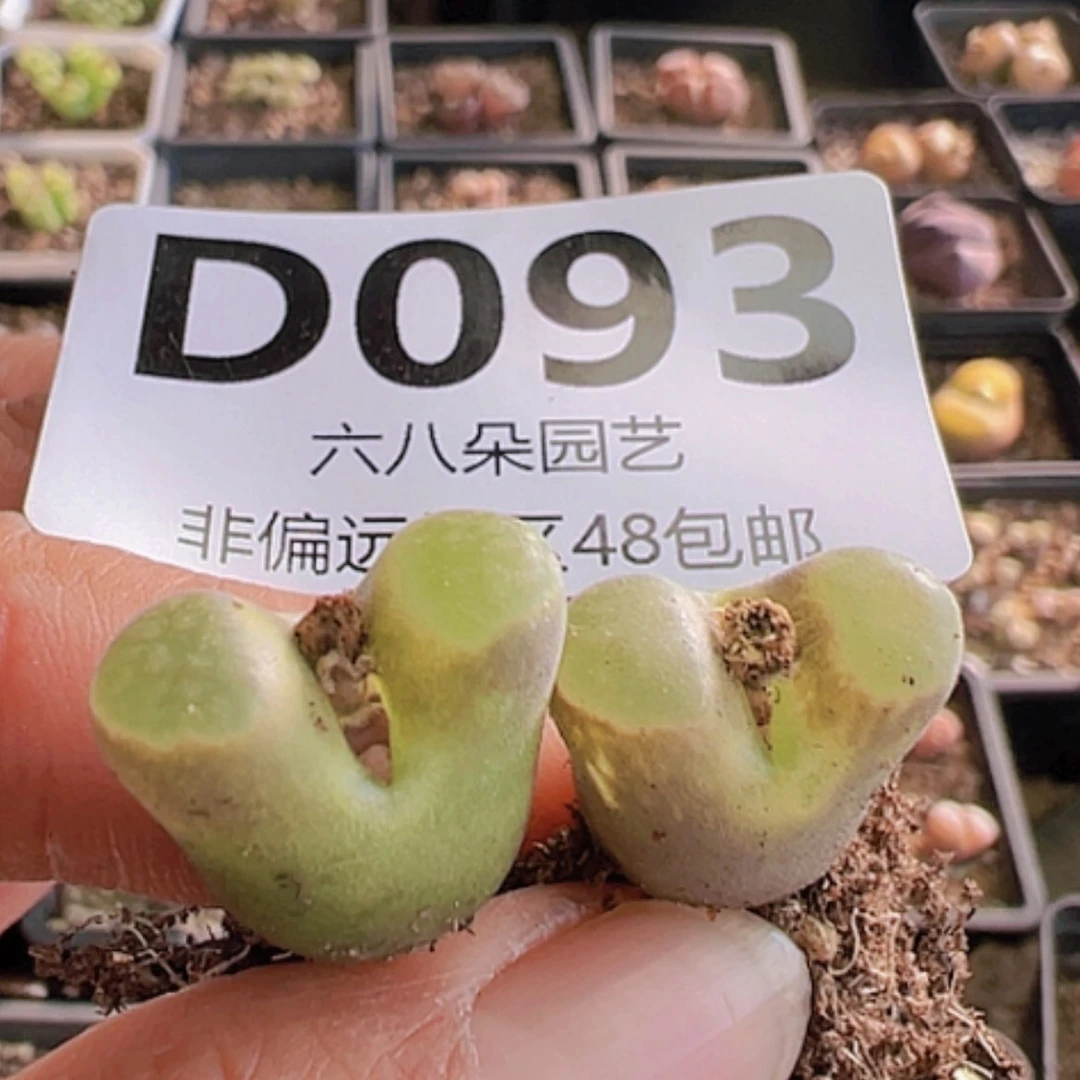 【闪购商品】2颗磁铁风铃