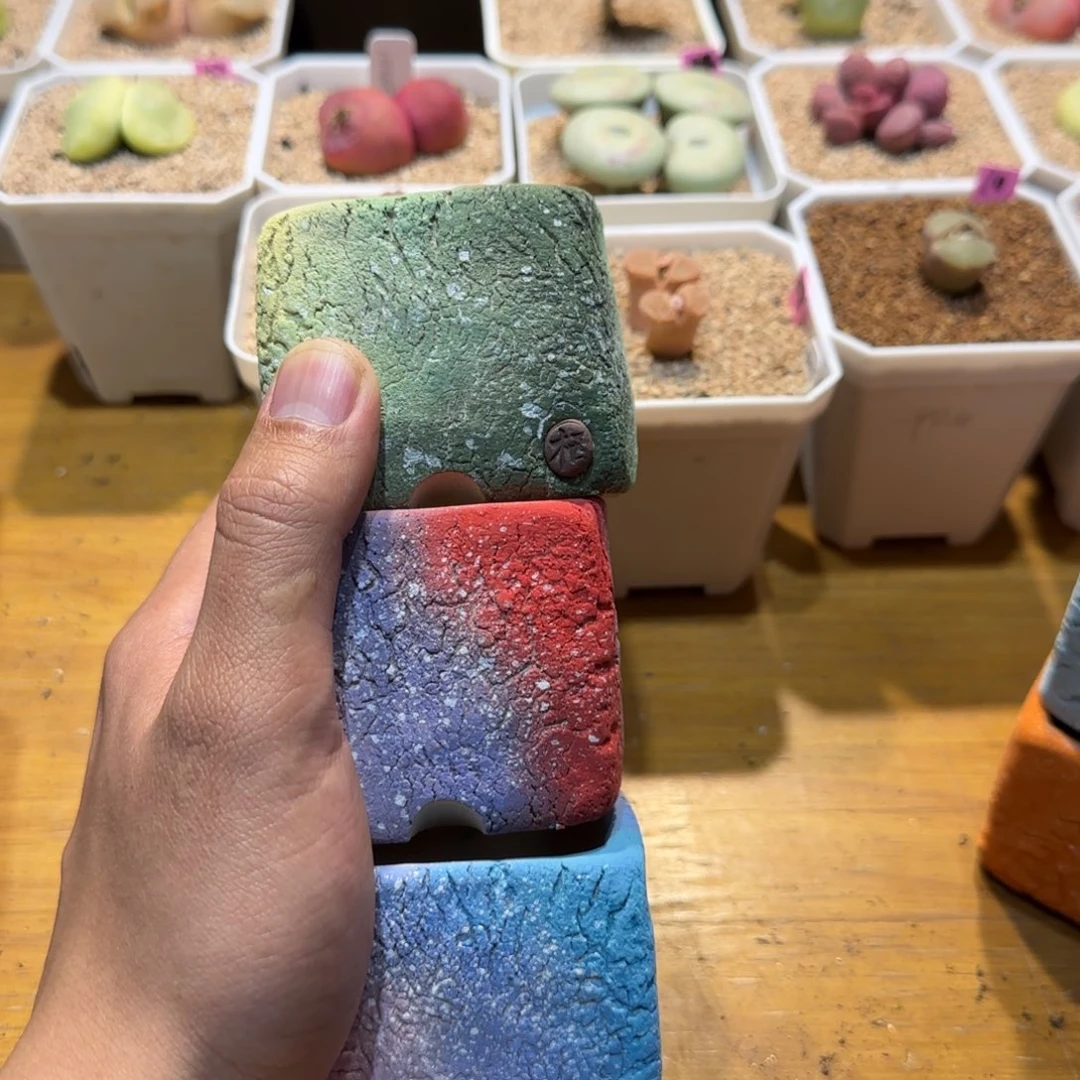 红陶e***m我们的目标是成为一个优秀的人啊打